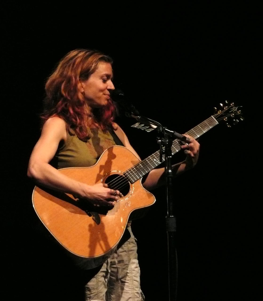 Ani DiFranco Foto