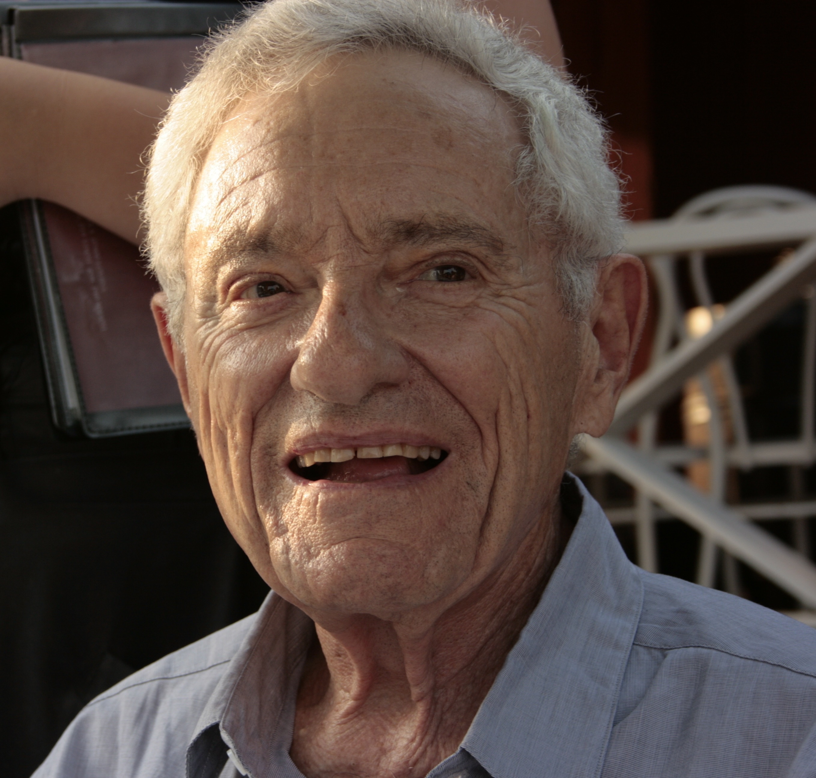 Arno Gruen Foto