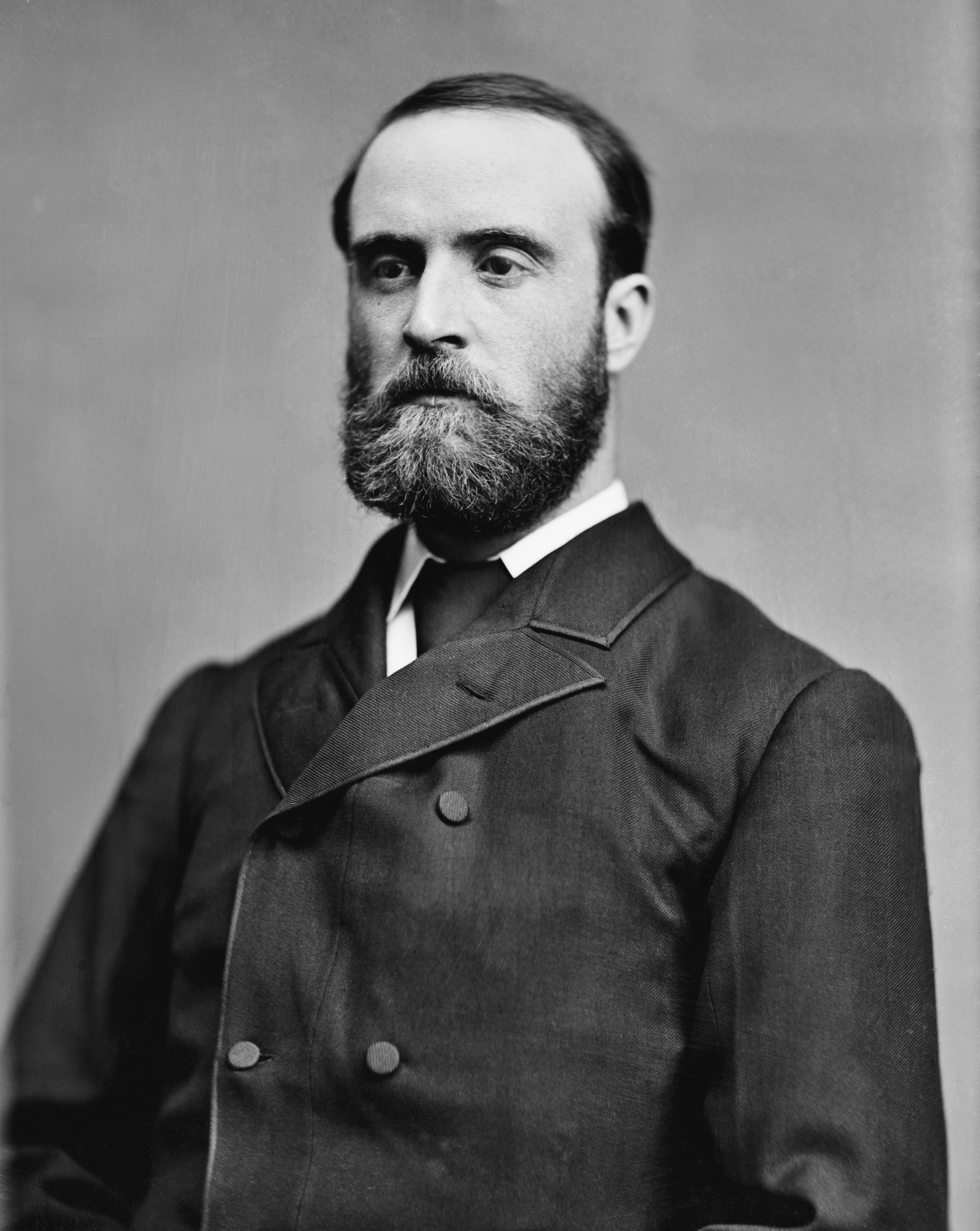 Charles Stewart Parnell Foto