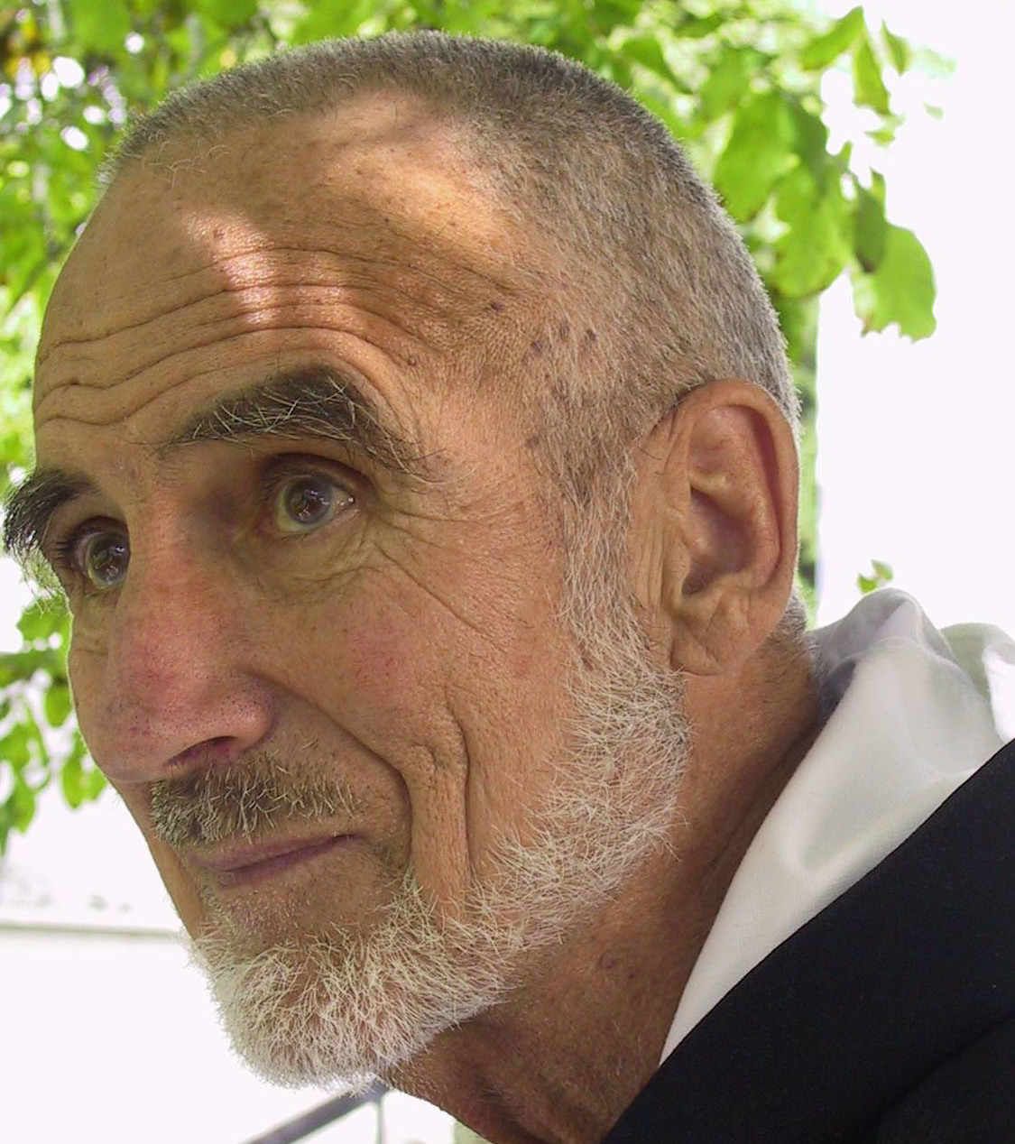 David Steindl-Rast Foto