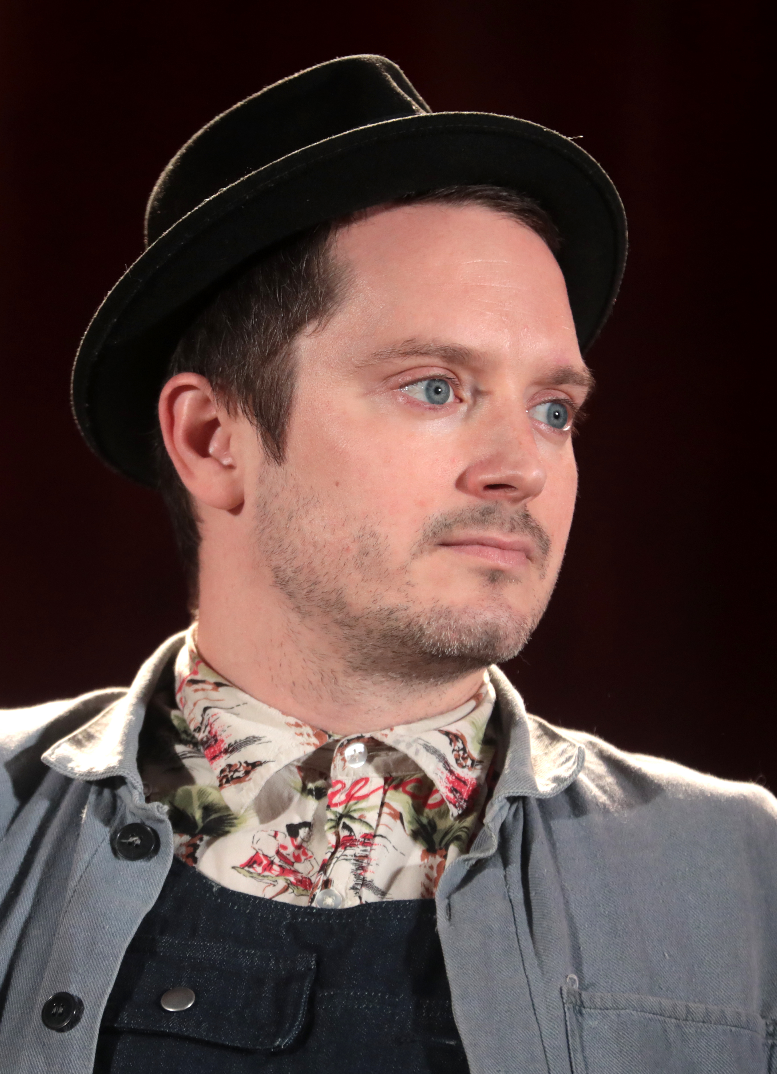 Elijah Wood Foto