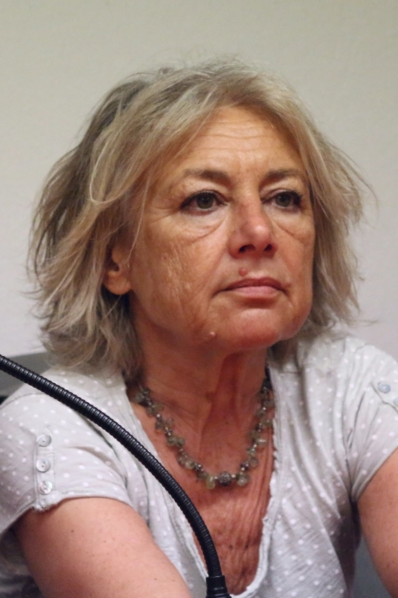 Giuliana Sgrena Foto