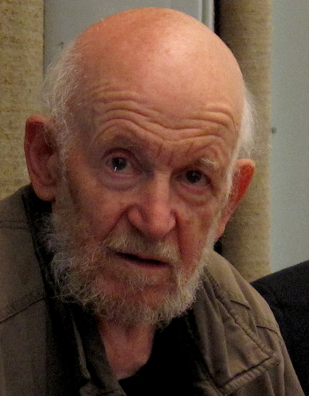 Gustav Metzger Foto