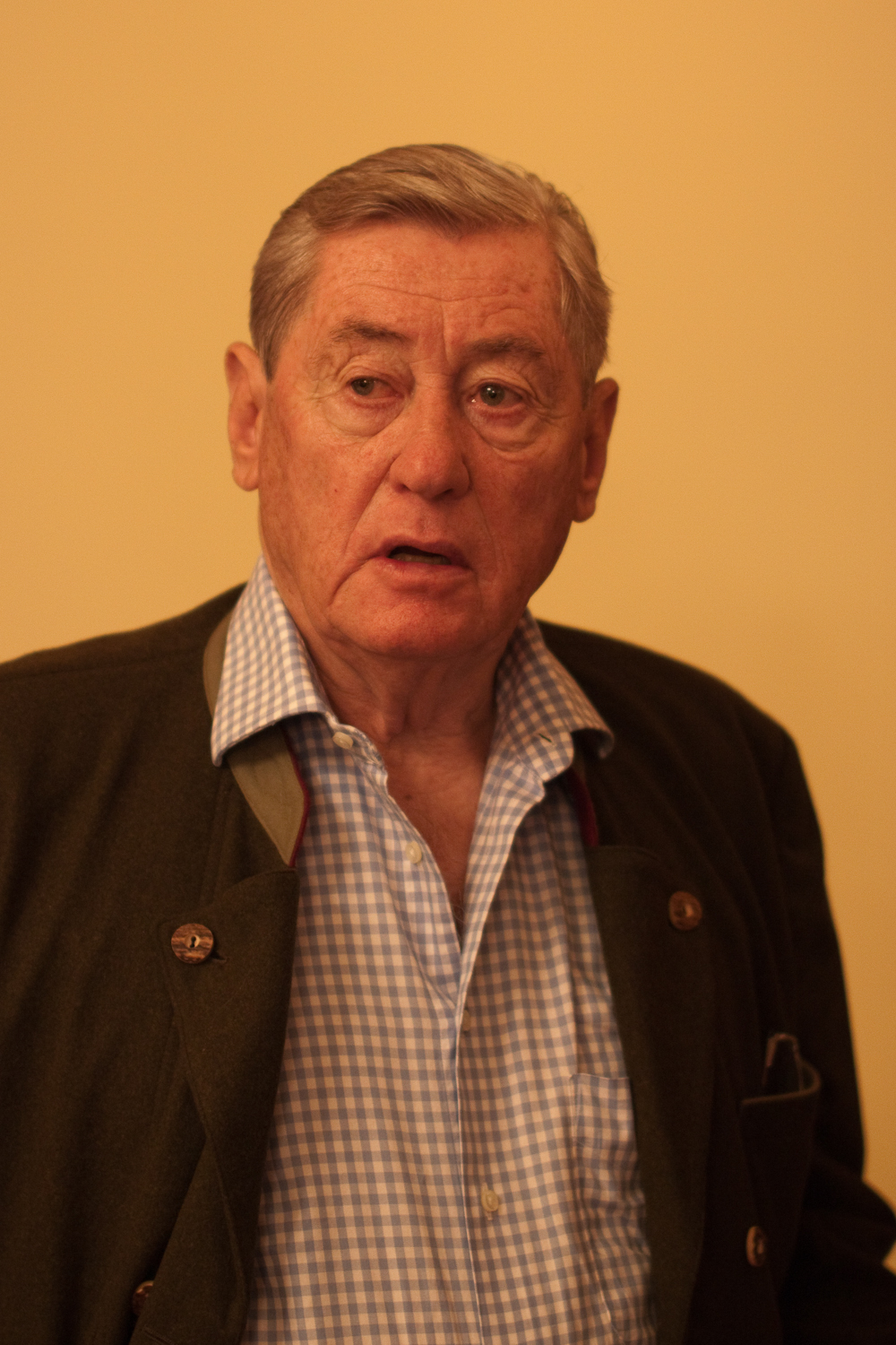 Hannes Androsch Foto