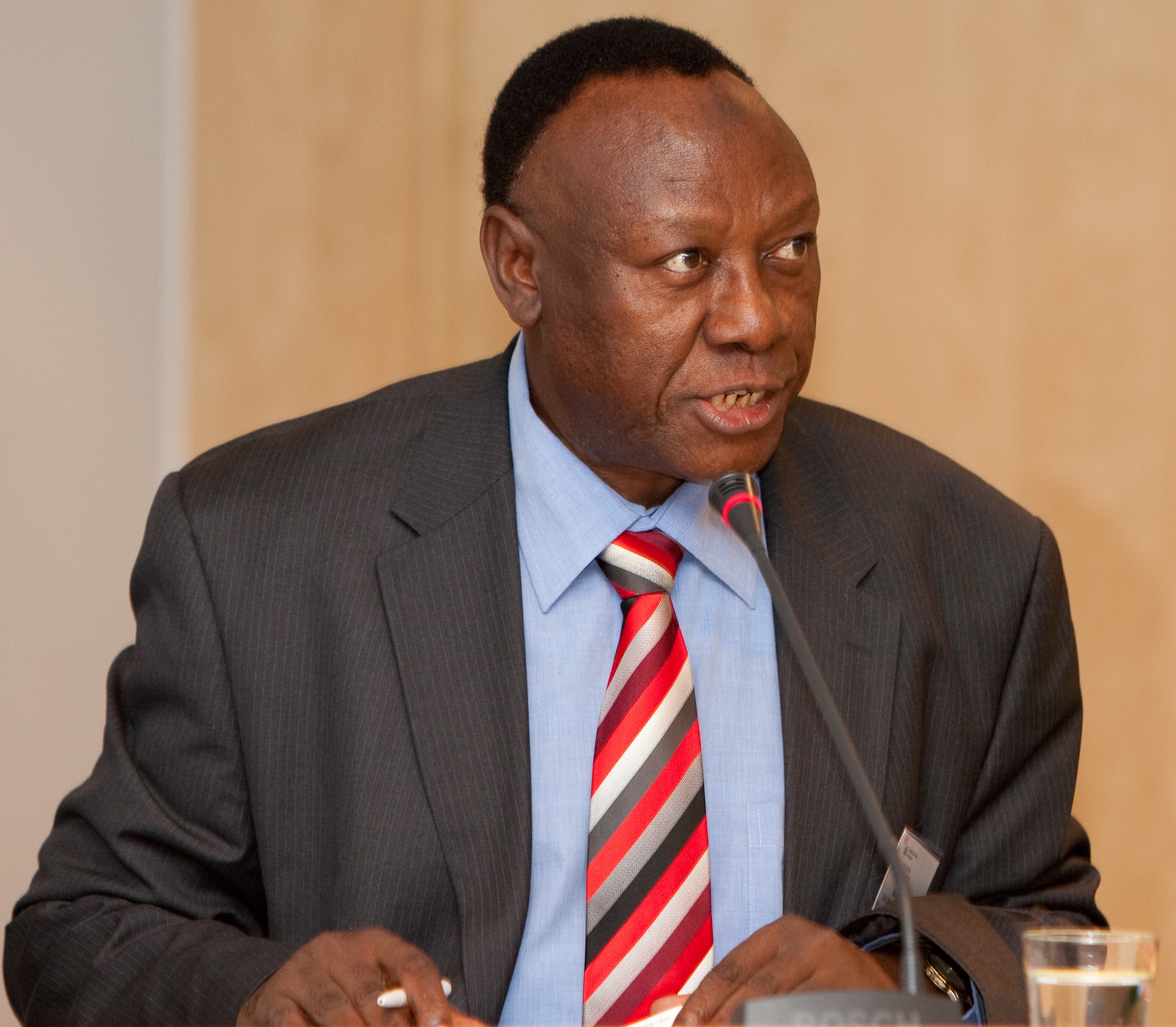 Ibrahim Lipumba Foto