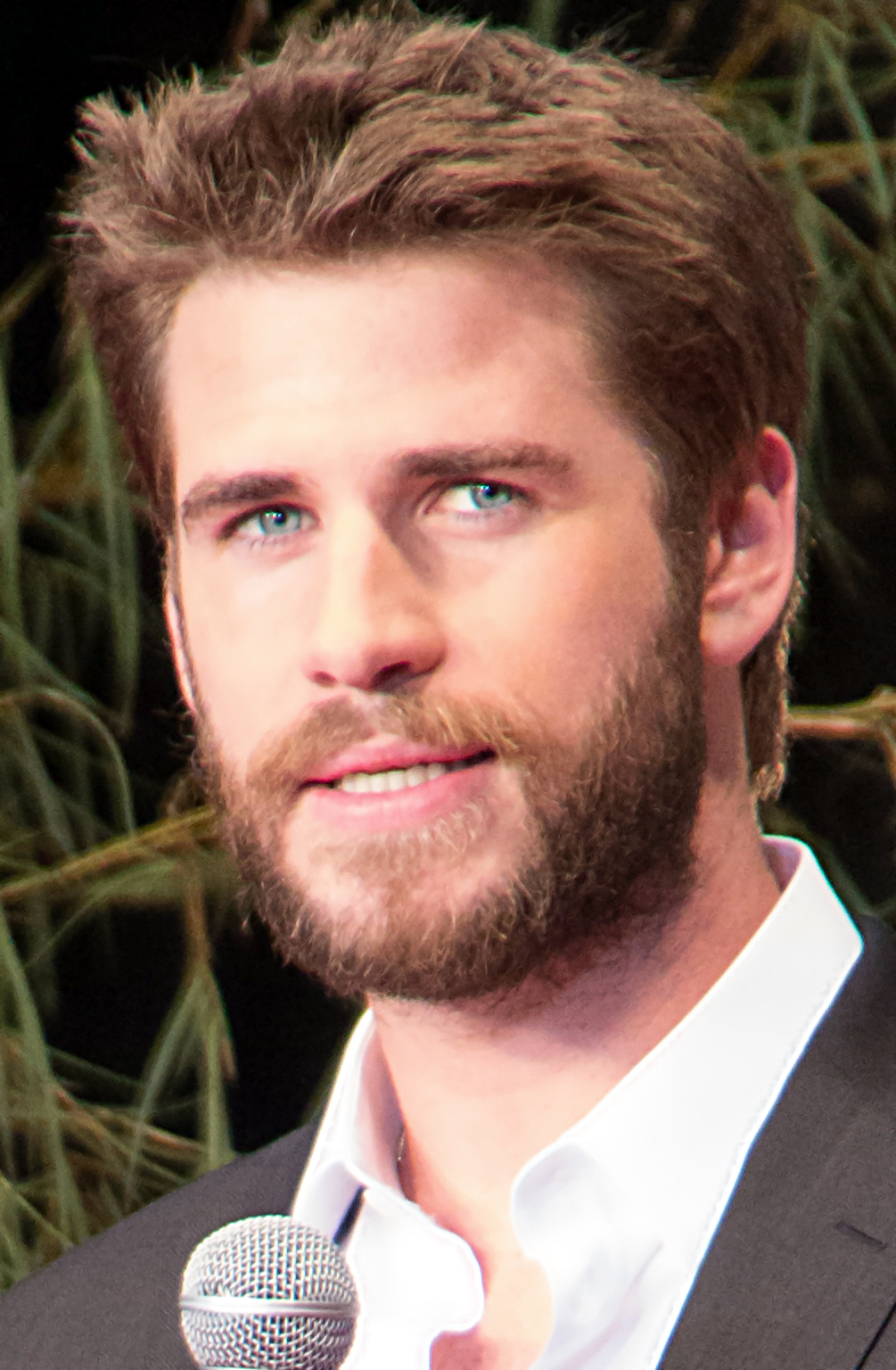 Liam Hemsworth Foto