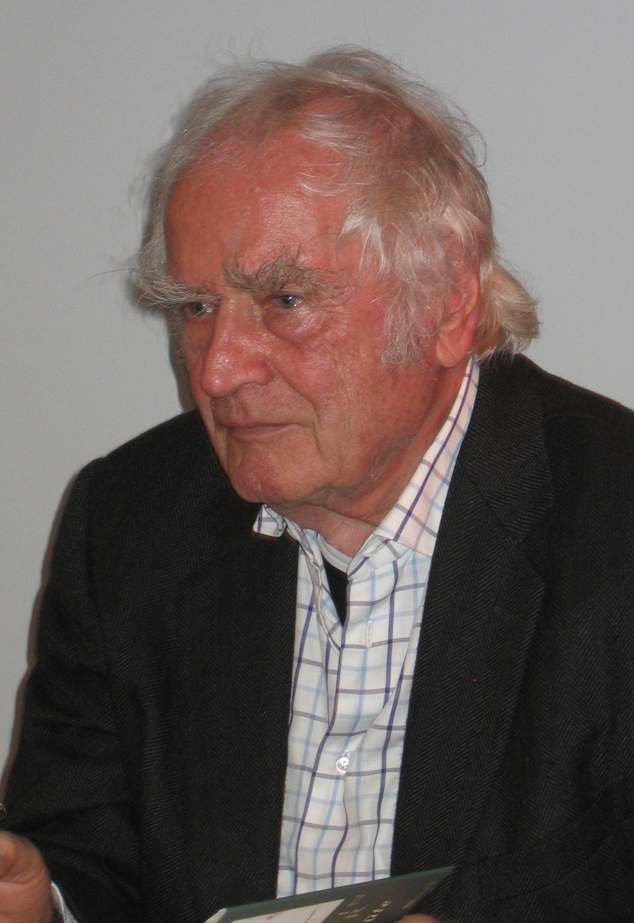 Martin Walser Foto