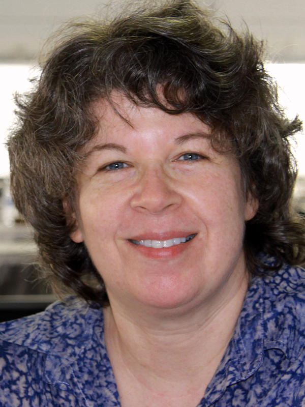 Meg Wolitzer Foto
