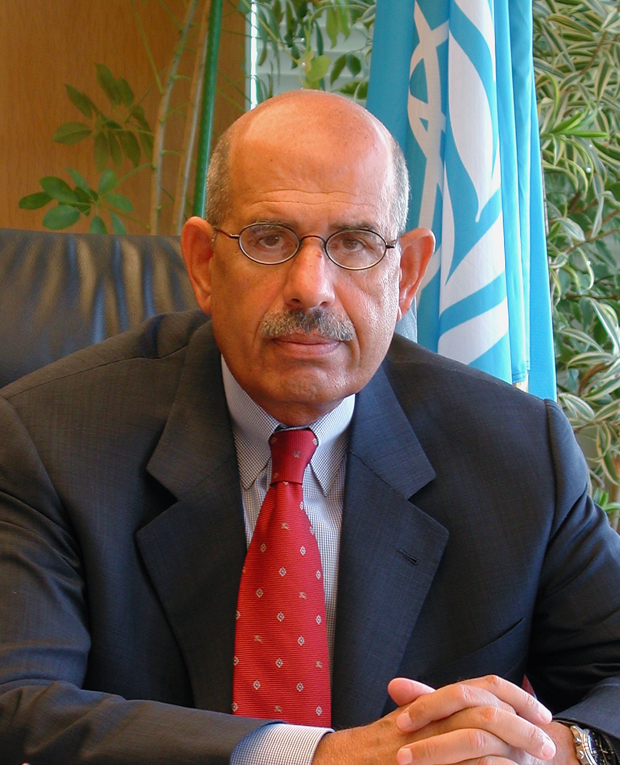 Mohammed el-Baradei Foto