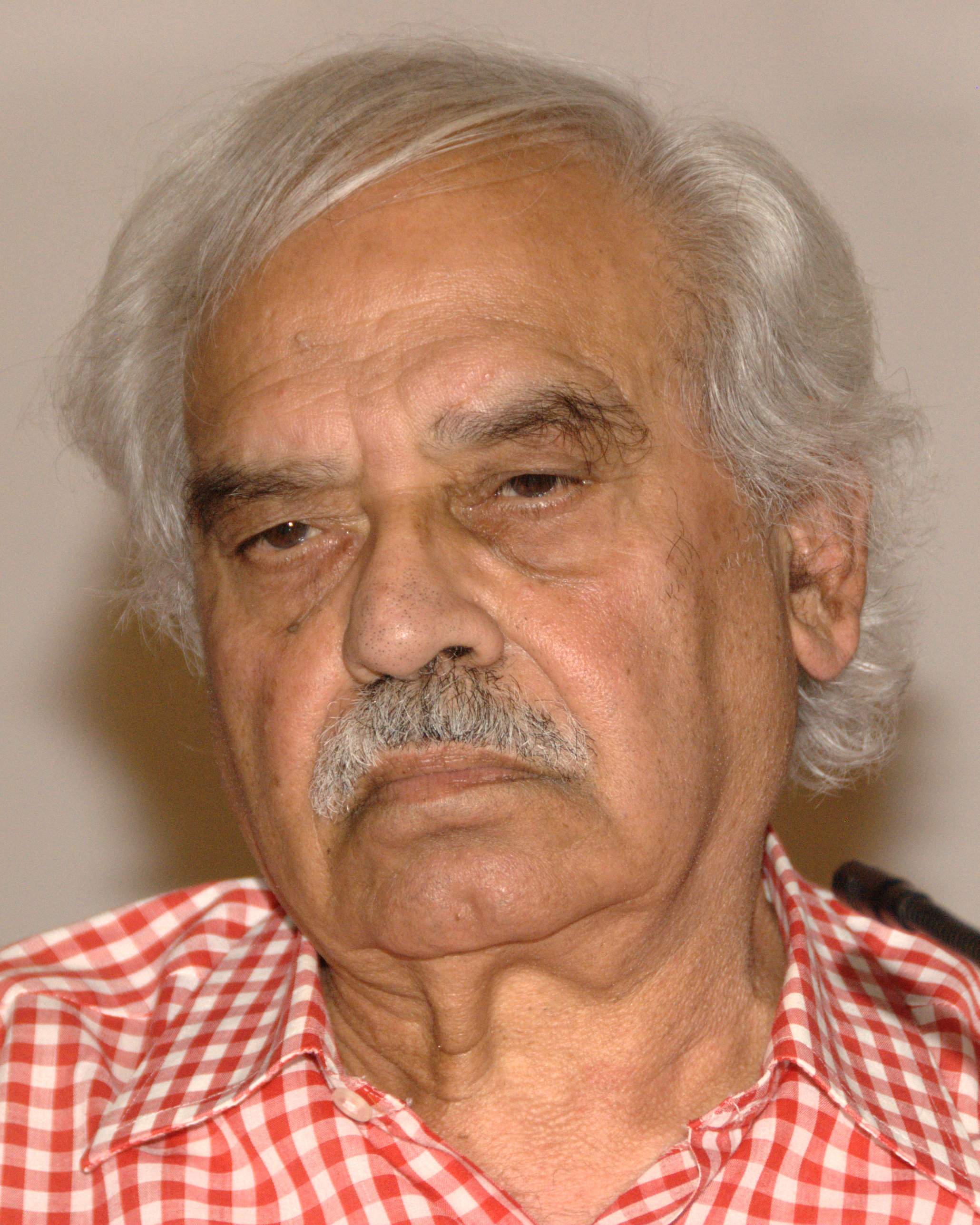 Rasheed Araeen Foto