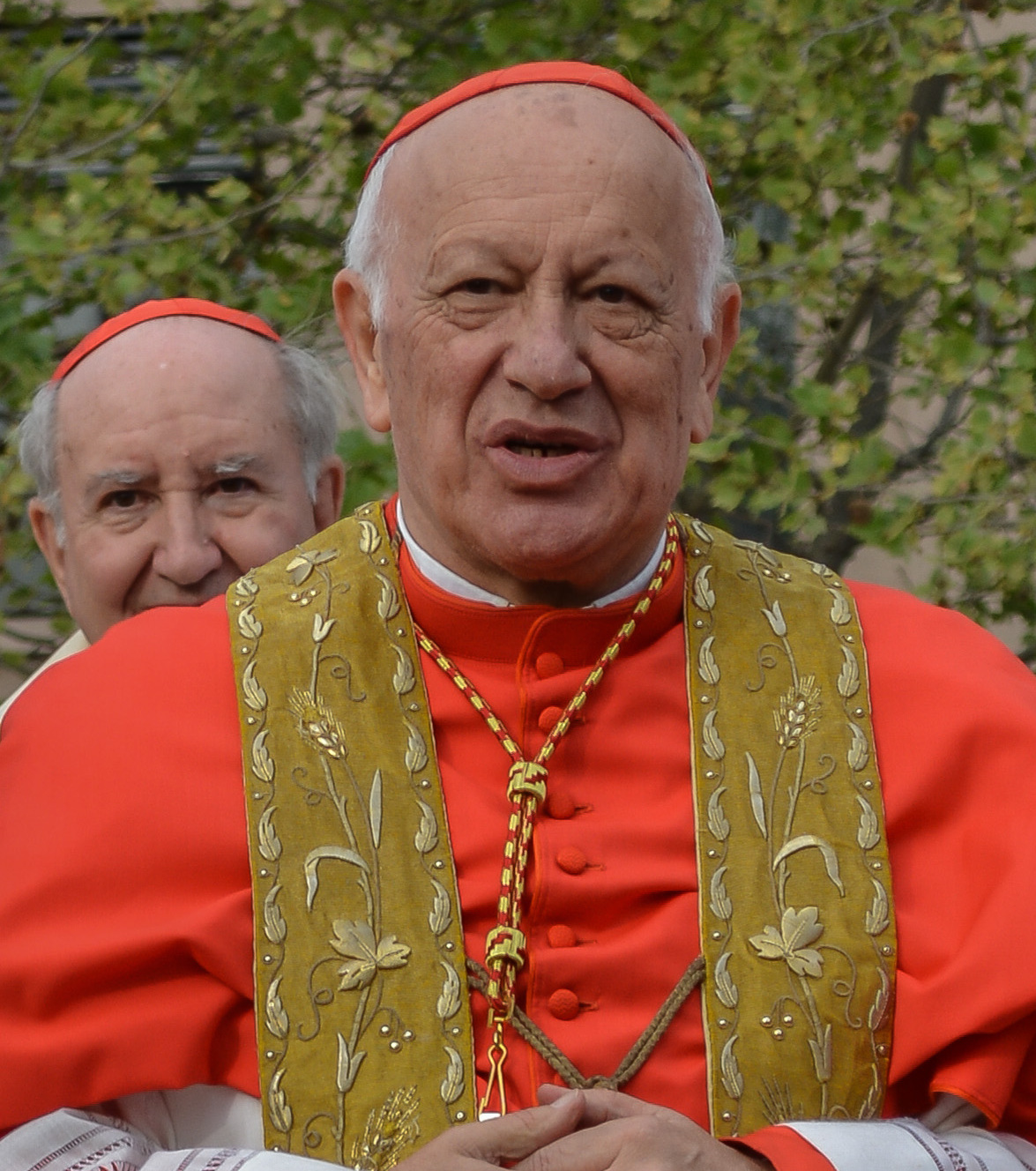 Ricardo Ezzati Andrello Foto
