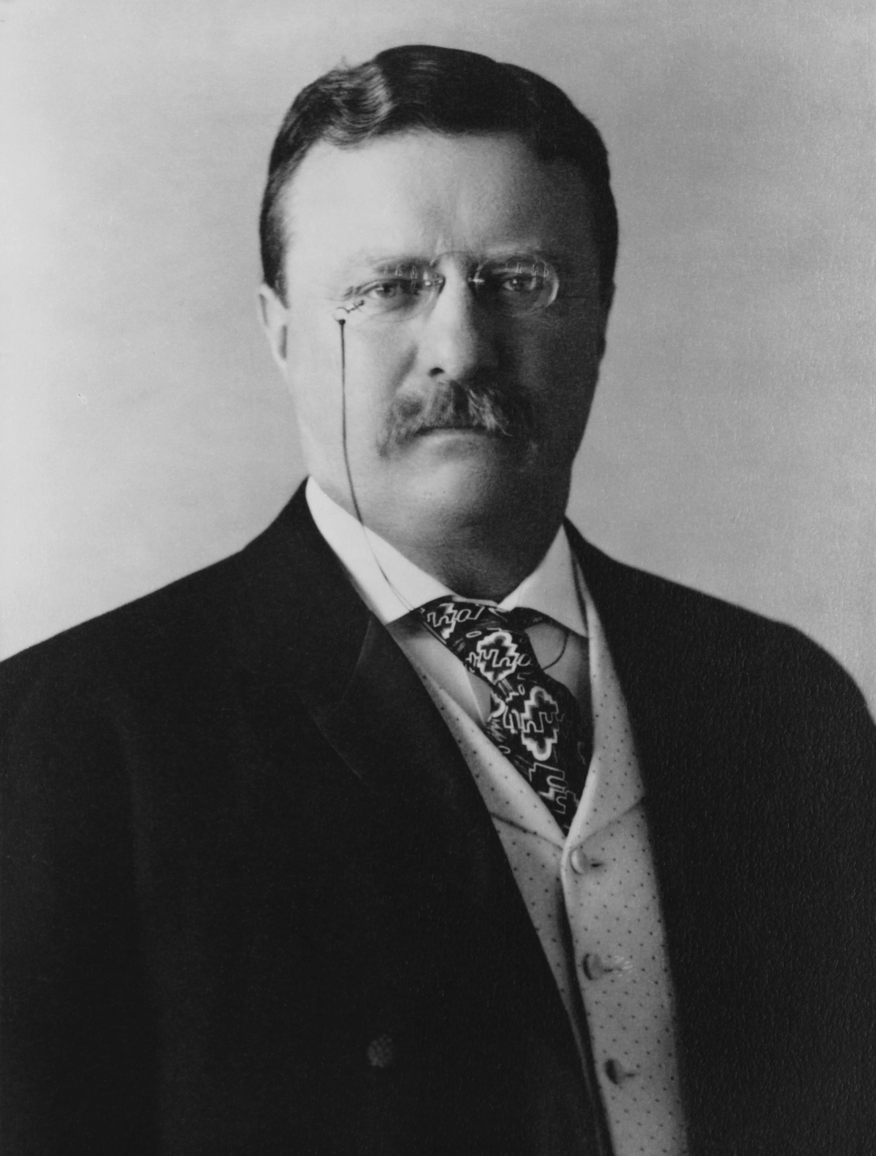 Theodore Roosevelt Foto