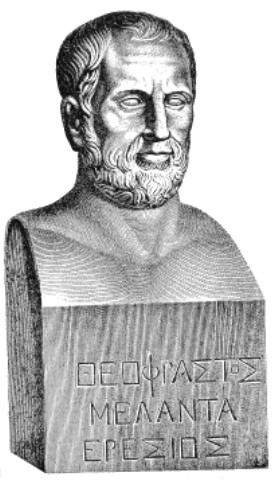 Theophrastos von Eresos Foto