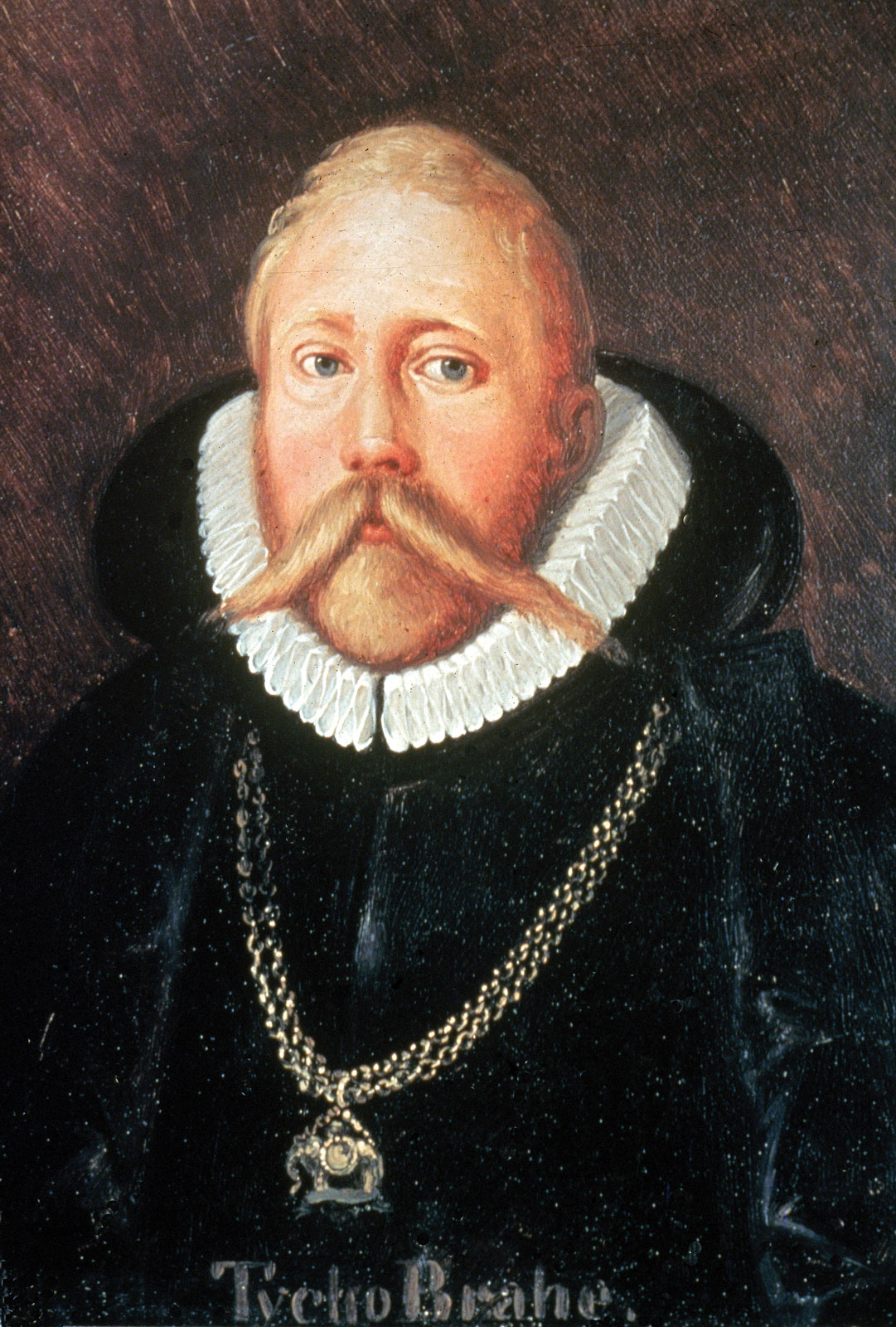 Tycho Brahe Foto