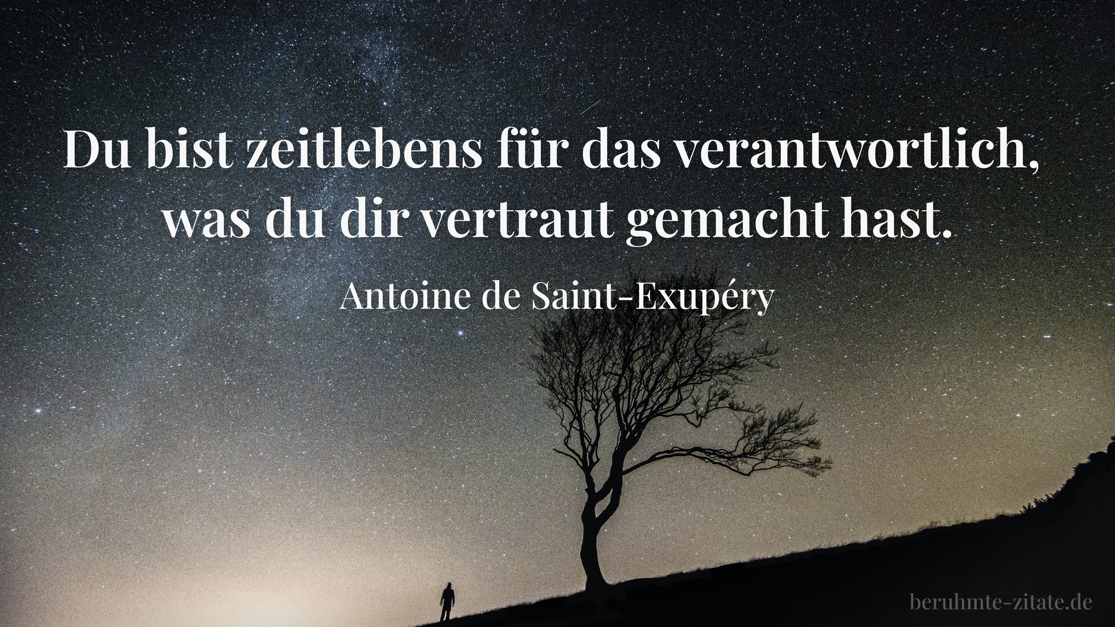 Antoine de Saint-Exupéry zitat: „Du bist zeitlebens für das verantwortlich, was du dir vertraut gemacht hast.“