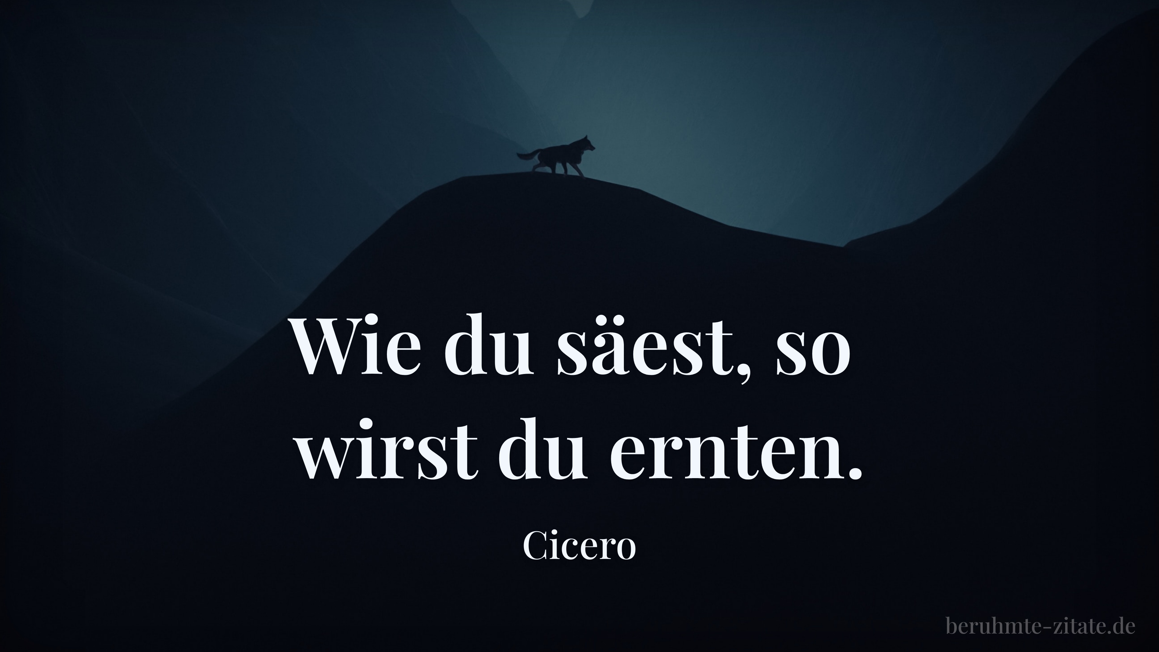 Cicero zitat: „Wie du säest, so wirst du ernten.“