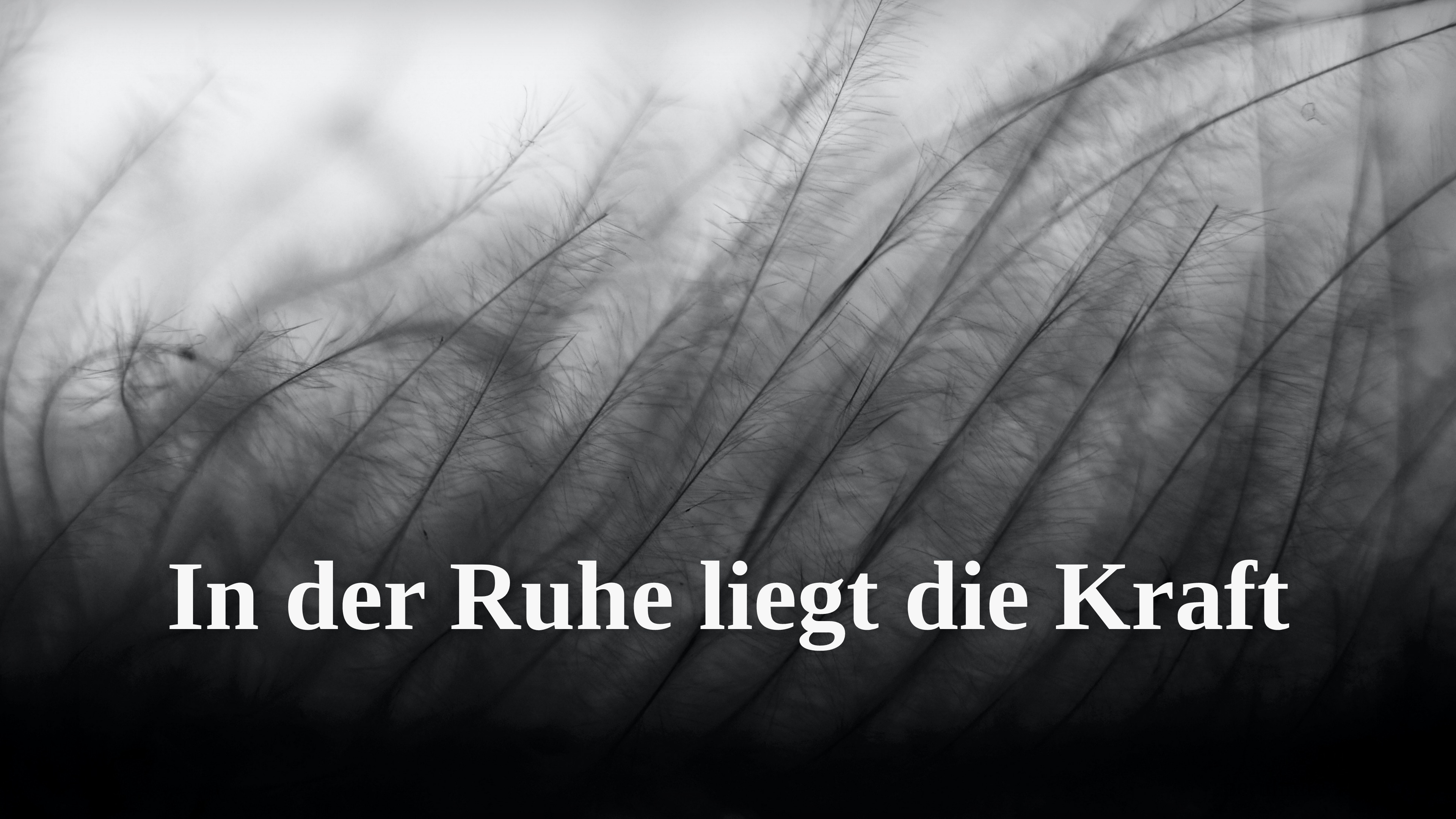 Zitat „In der Ruhe liegt die Kraft“