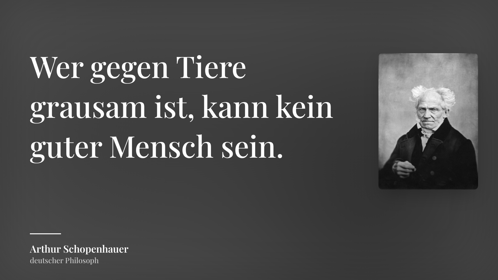 Arthur Schopenhauer zitat: „Wer gegen Tiere grausam ist, kann kein guter Mensch sein.“