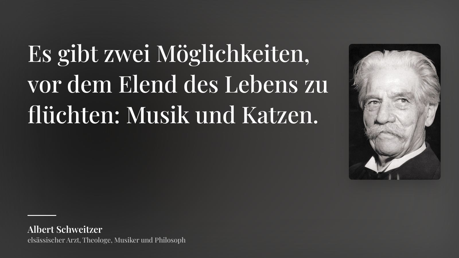 Albert Schweitzer zitat: „Es gibt zwei Möglichkeiten, vor dem Elend des Lebens zu flüchten: Musik und Katzen.“