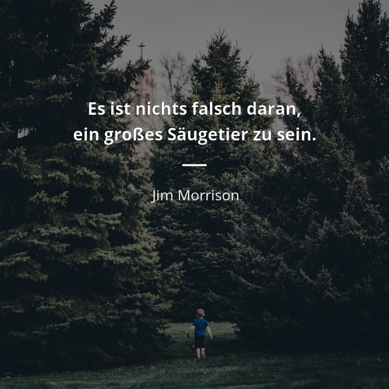 Jim Morrison zitat: „Es ist nichts falsch daran, ein großes Säugetier zu sein.“