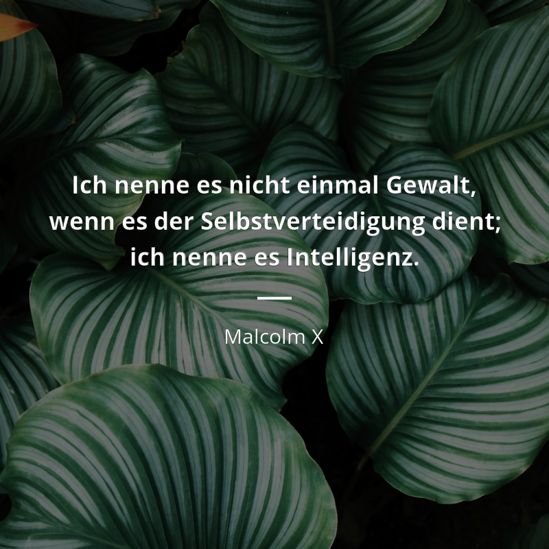 Malcolm X zitat: „Ich nenne es nicht einmal Gewalt, wenn es der Selbstverteidigung dient; ich nenne es Intelligenz.“