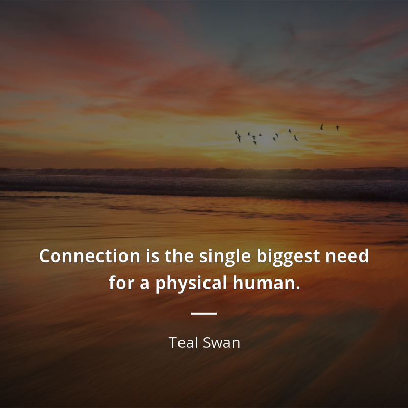 Teal Swan zitat: “Connection is the single biggest need for a physical human.”