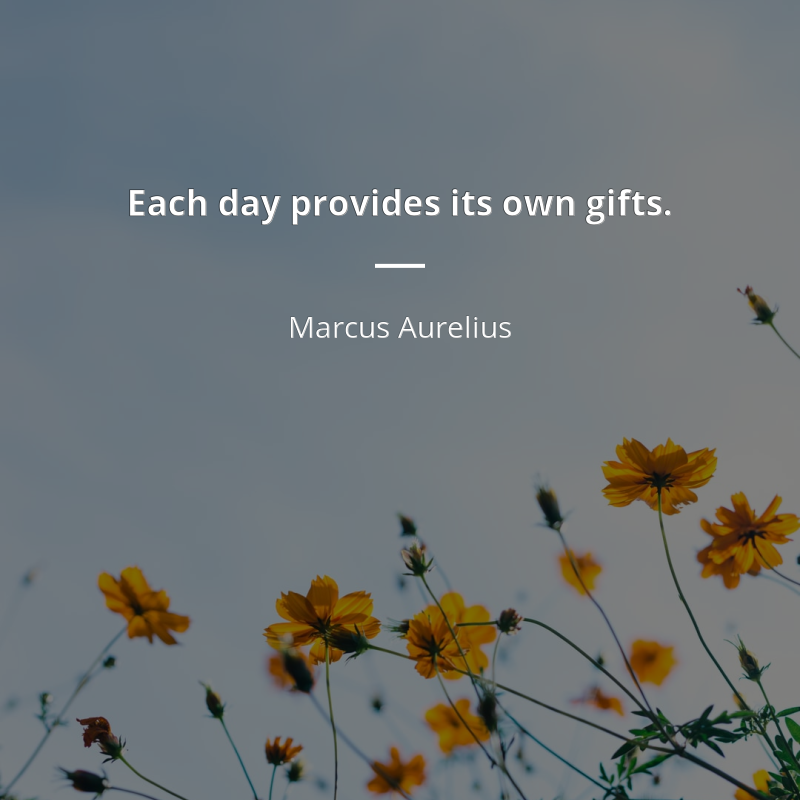 Marcus Aurelius zitat: “Each day provides its own gifts.”
