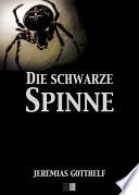 Die schwarze Spinne